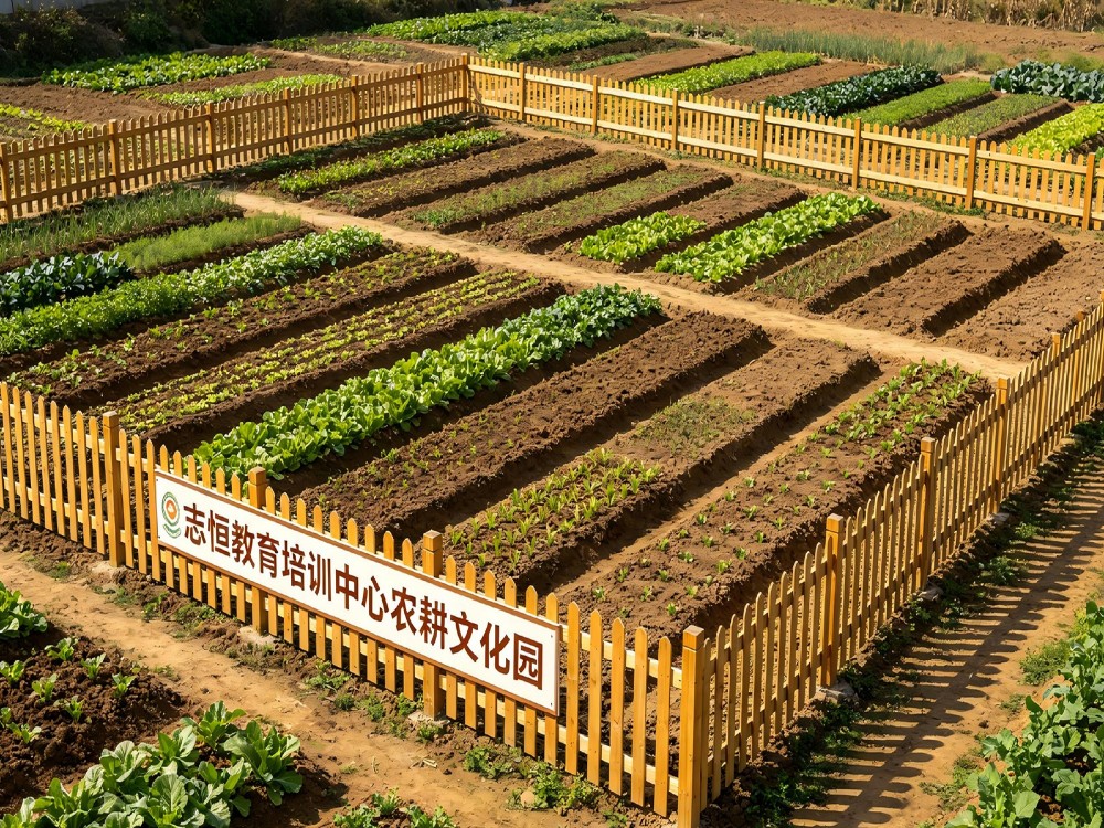 宜昌比较好的小孩子叛逆全封闭管教学校推荐